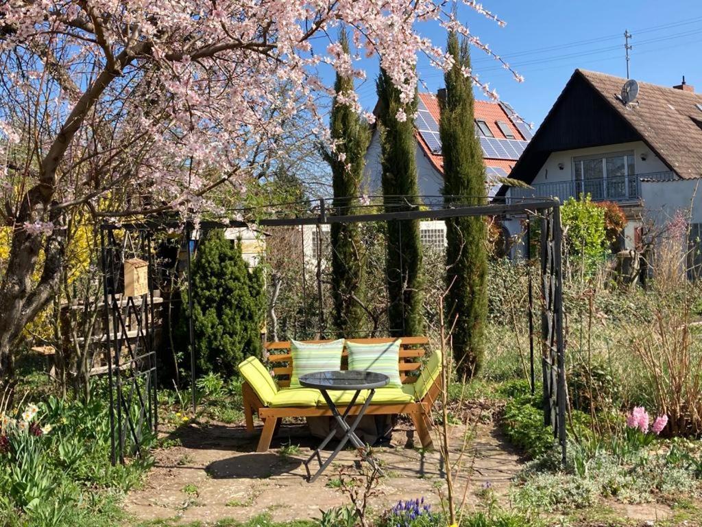 Neustadt an der Weinstraße Terrassenwohnung מראה חיצוני תמונה