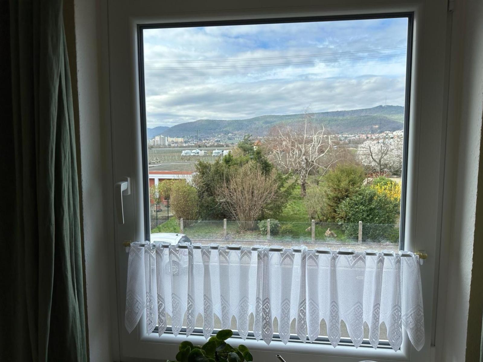 Neustadt an der Weinstraße Terrassenwohnung מראה חיצוני תמונה